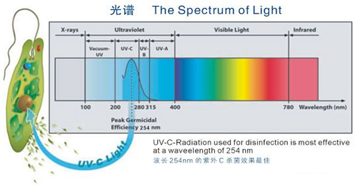 科普！紫外線殺菌燈對人體影響及正確使用方法